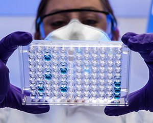 Person with purple gloves holding up lab sample tray