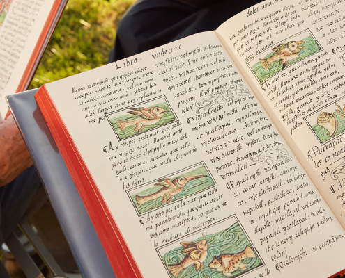 Replicas of the codex include pages like those in Book 11, Earthly Things, which depict the totomichi, or “bird fish”; the huitzitzilmichi with a thin beak; the papalomichi, which means “fish like a butterfly”; ocelomichi, or “fish like a tiger”; and cuauhxohuilli, or “eagle-like fish.”