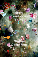 Each Luminous Thing book cover