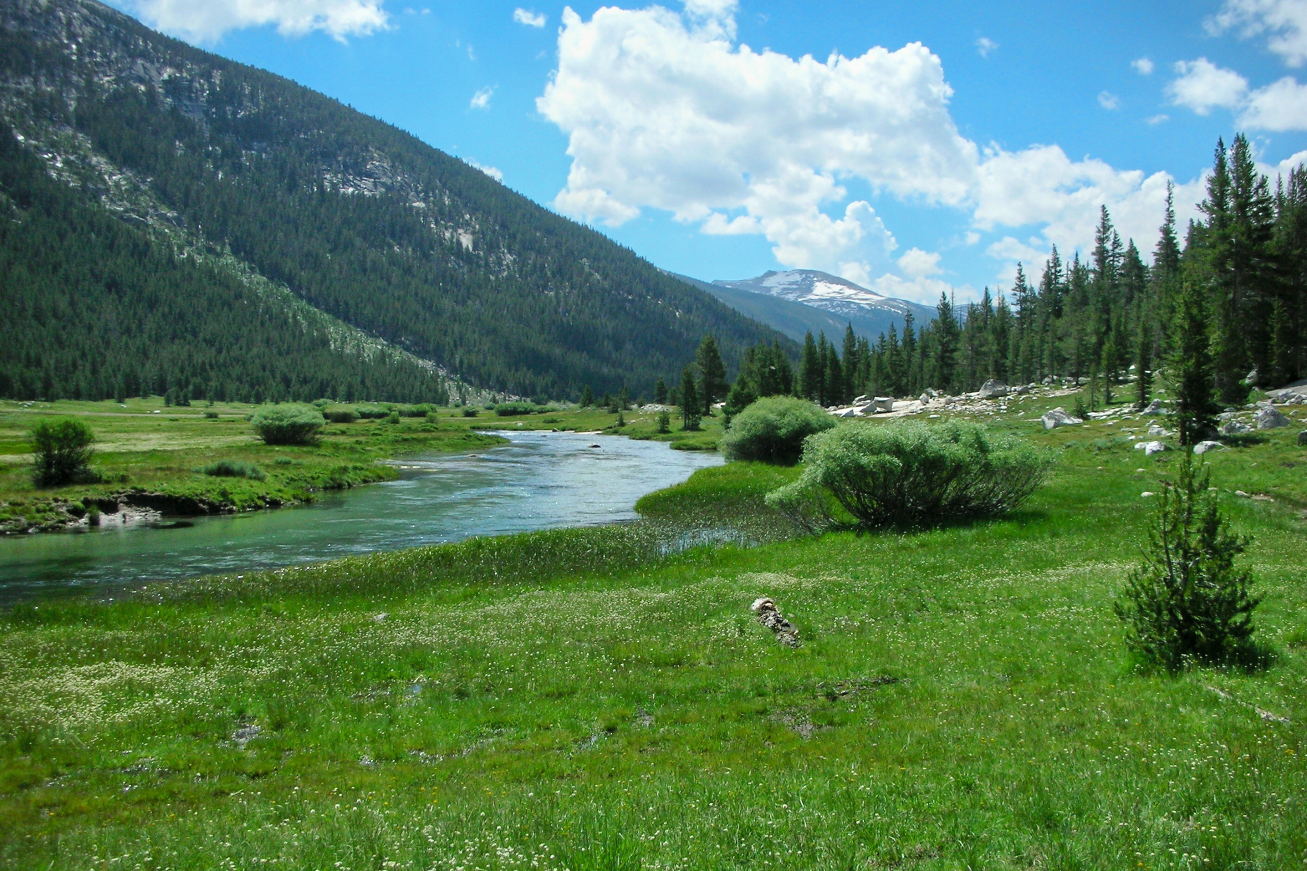 an outdoor landscape with grass, a river, mountains and a blue sky in the background