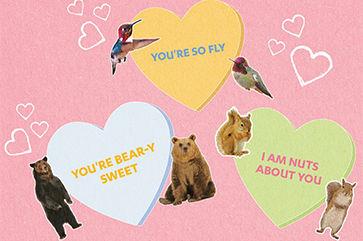 Valentine’s Day candy hearts with “You’re so fly,” “You’re bear-y sweet” and “I am nuts about you” on them