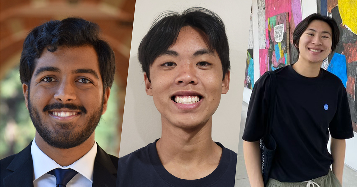 A triptych of Sohan Talluri, Tim Duong and Ethan Hung
