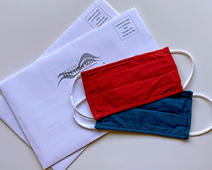 COVID+masks+and+election+ballots-363-241 face masks and election ballots