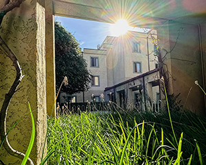 Chancellor-Block-final-update-363-241 A photograph of the sun peaking through a residential setting.