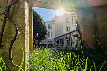 A photograph of the sun peaking through a residential setting.