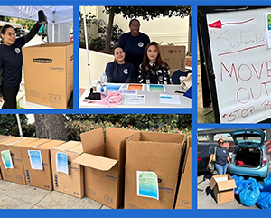sustainable+move+out-363-241 Sustainable Move Out photo collage