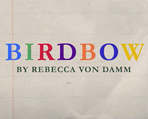 birdbow-363-241 An illustration of an index card with the words: "Birdbow by Rebecca Von Damm."