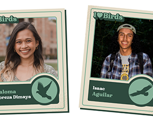 bruins-of-a-feather-363-241 Baseball card inspired illustrations of Paloma Doreza Dimaya and Isaac Aguilar.