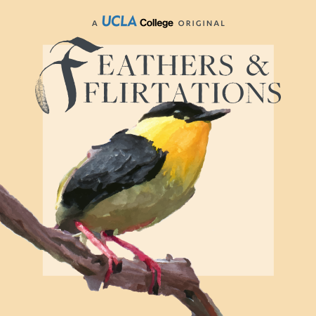 Cover art for Feathers and Flirtations 