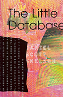 The Little Database book cover 