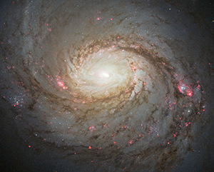 Galaxy-363-241 NGC 1068, also known as the Squid Galaxy