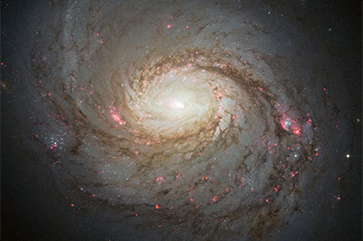 NGC 1068, also known as the Squid Galaxy