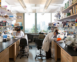 research-363-241 students researching in a lab
