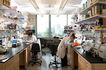 students researching in a lab