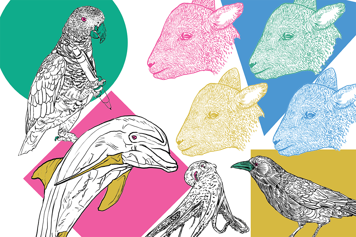 Colorful illustration featuring detailed line-art animals over geometric backgrounds. A parrot with a ring in its beak sits on a green circle; a dolphin with a yellow underside floats above a pink square; a long-tailed bird is near the bottom center; a crow or raven rests on a yellow background in the bottom right; and six goat heads in pink, yellow, green, blue, teal, and red are arranged in the top right.