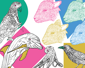 LS_LivescuNewsroomBanner_v1 (2) – 363 – 241 Colorful illustration featuring detailed line-art animals over geometric backgrounds. A parrot with a ring in its beak sits on a green circle; a dolphin with a yellow underside floats above a pink square; a long-tailed bird is near the bottom center; a crow or raven rests on a yellow background in the bottom right; and six goat heads in pink, yellow, green, blue, teal, and red are arranged in the top right.