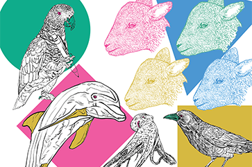 Colorful illustration featuring detailed line-art animals over geometric backgrounds. A parrot with a ring in its beak sits on a green circle; a dolphin with a yellow underside floats above a pink square; a long-tailed bird is near the bottom center; a crow or raven rests on a yellow background in the bottom right; and six goat heads in pink, yellow, green, blue, teal, and red are arranged in the top right.
