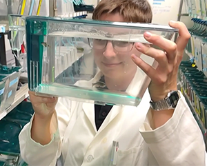 Olivia Justynski looking at a zebrafish swimming inside a container.