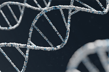 Closeup of DNA strands in white and blue
