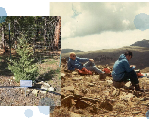 Clarence Hall, Glenn Hieshima and Mike Soreghan taking a break during their tour of the Deep Spring Formation, White Mountains, summer of 1984.
