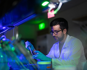 Researcher working in a UCLA immunology lab
