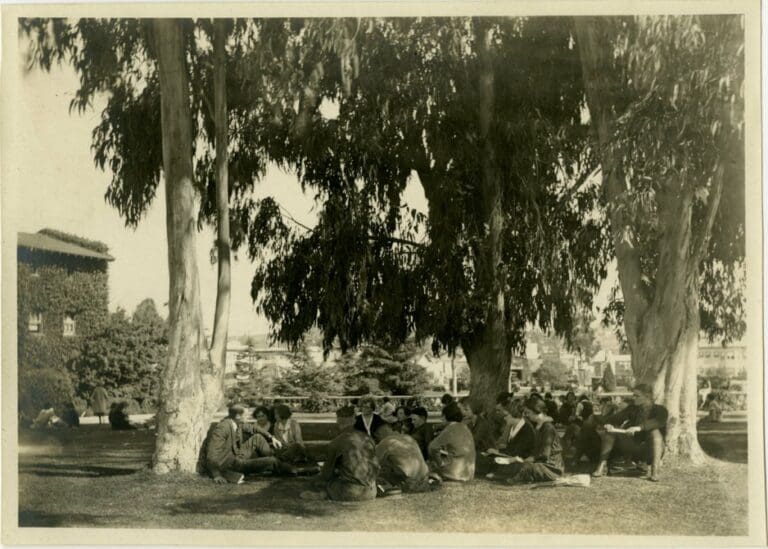 A group of people sit in a circle on the grass beneath large trees, possibly in a park or campus setting, engaged in conversation on a sunny day. Buildings and foliage are visible in the background.