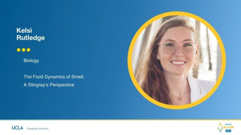 Headshot of a smiling woman with long brown hair and glasses, next to text about Kelsi Rutledges biology research titled The Fluid Dynamics of Smell: A Stingrays Perspective, with UCLA and Grad Slam logos.
