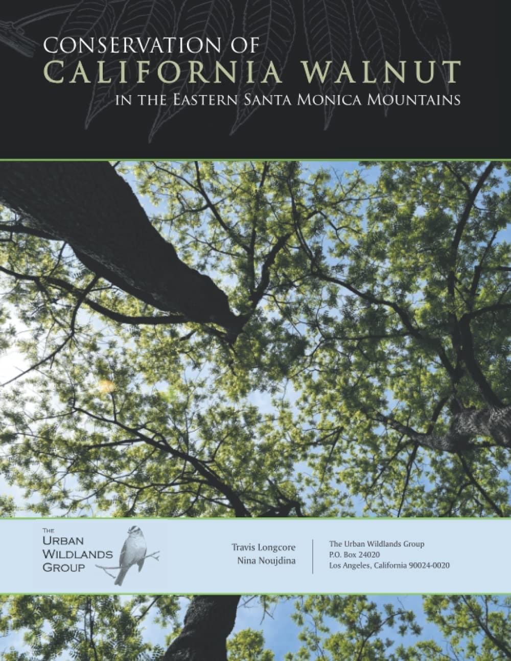 Cover of a report titled Conservation of California Walnut in the Eastern Santa Monica Mountains, featuring a view looking up at walnut tree branches and leaves with sunlight filtering through.